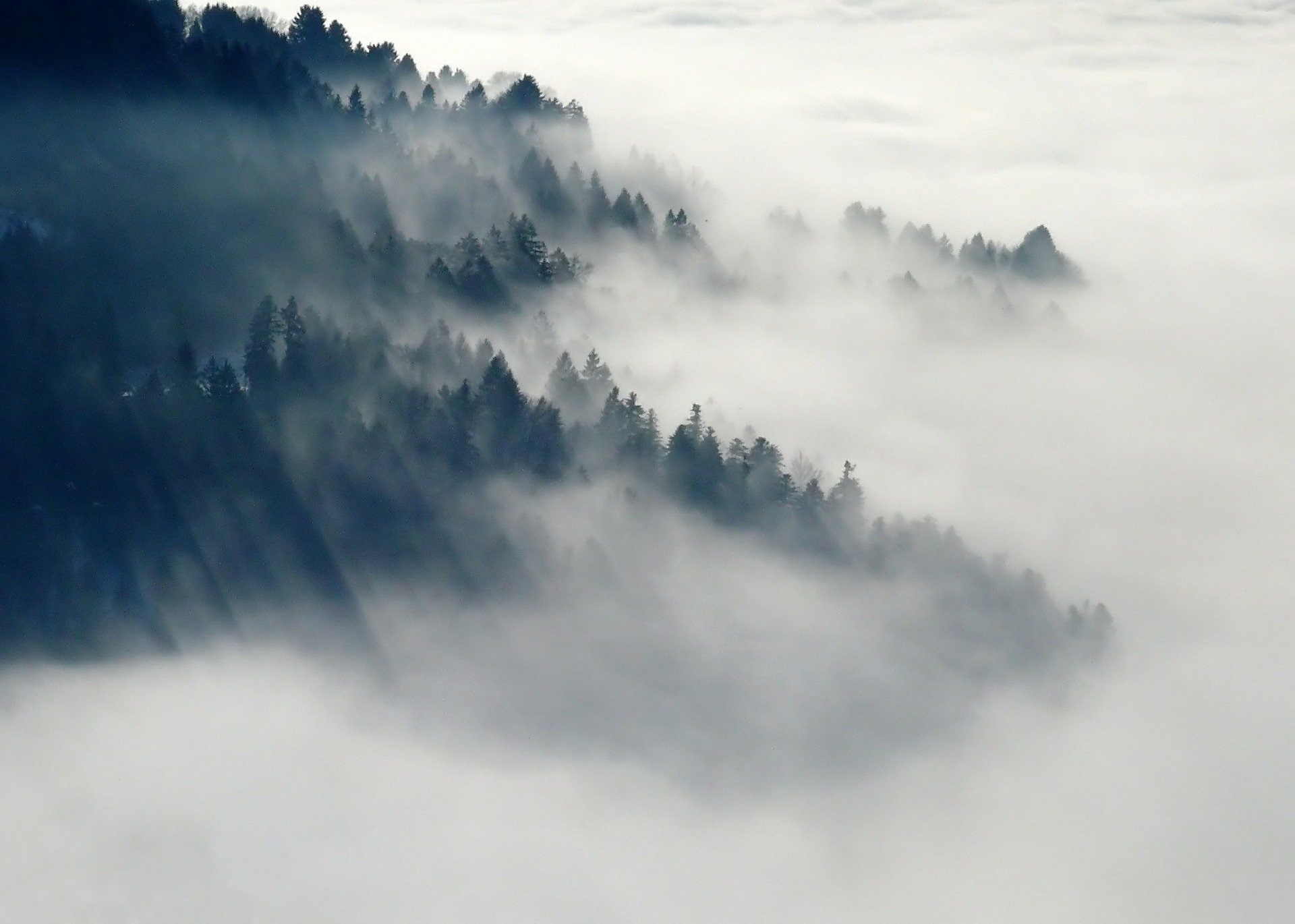 immagine nebbia