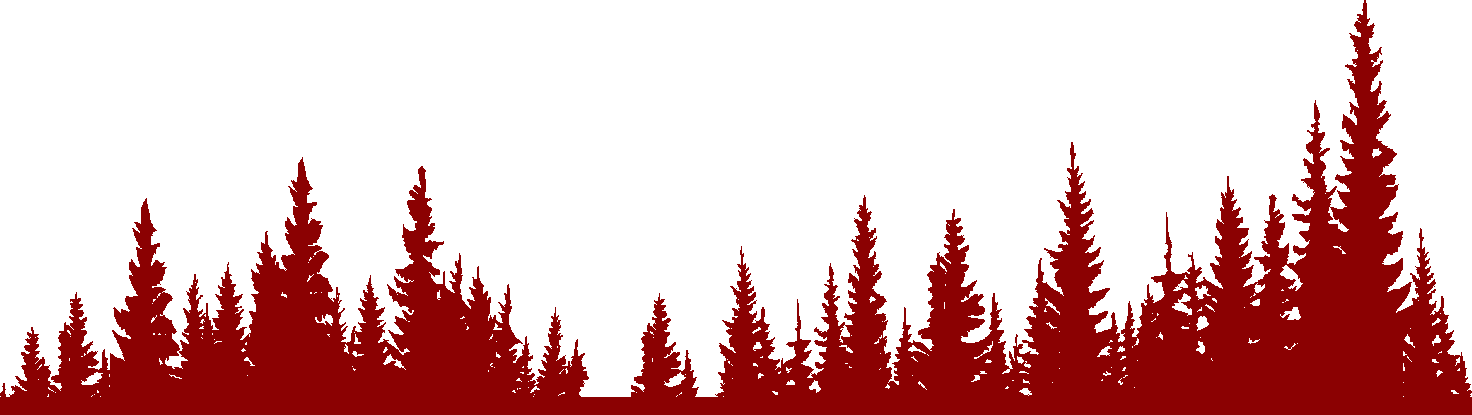 immagine alberi rossi