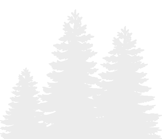 immagine alberi